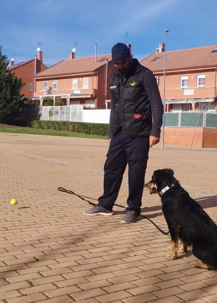 Sesión inicial de evaluación - Adiestramiento a domicilio