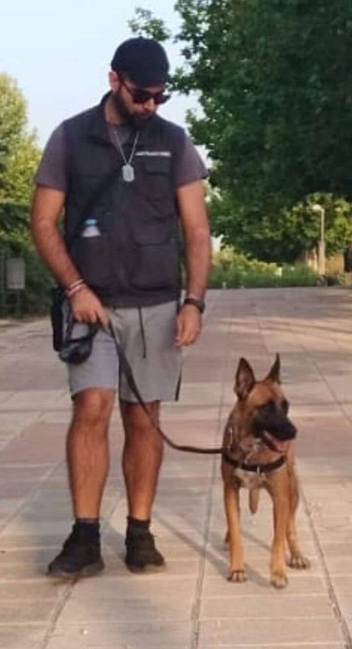 Bono de 6 sesiones - Adiestramiento a domicilio